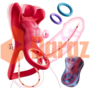 Vibrating Cock Ring Vibrator Couple - DarazToy.Com.Pk
